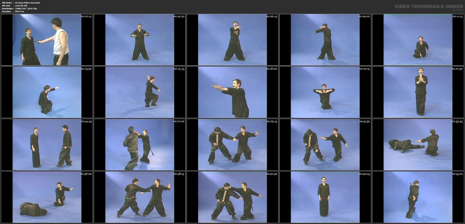 Monkey Kung Fu starring Paulie Zink (8 DVD Set)