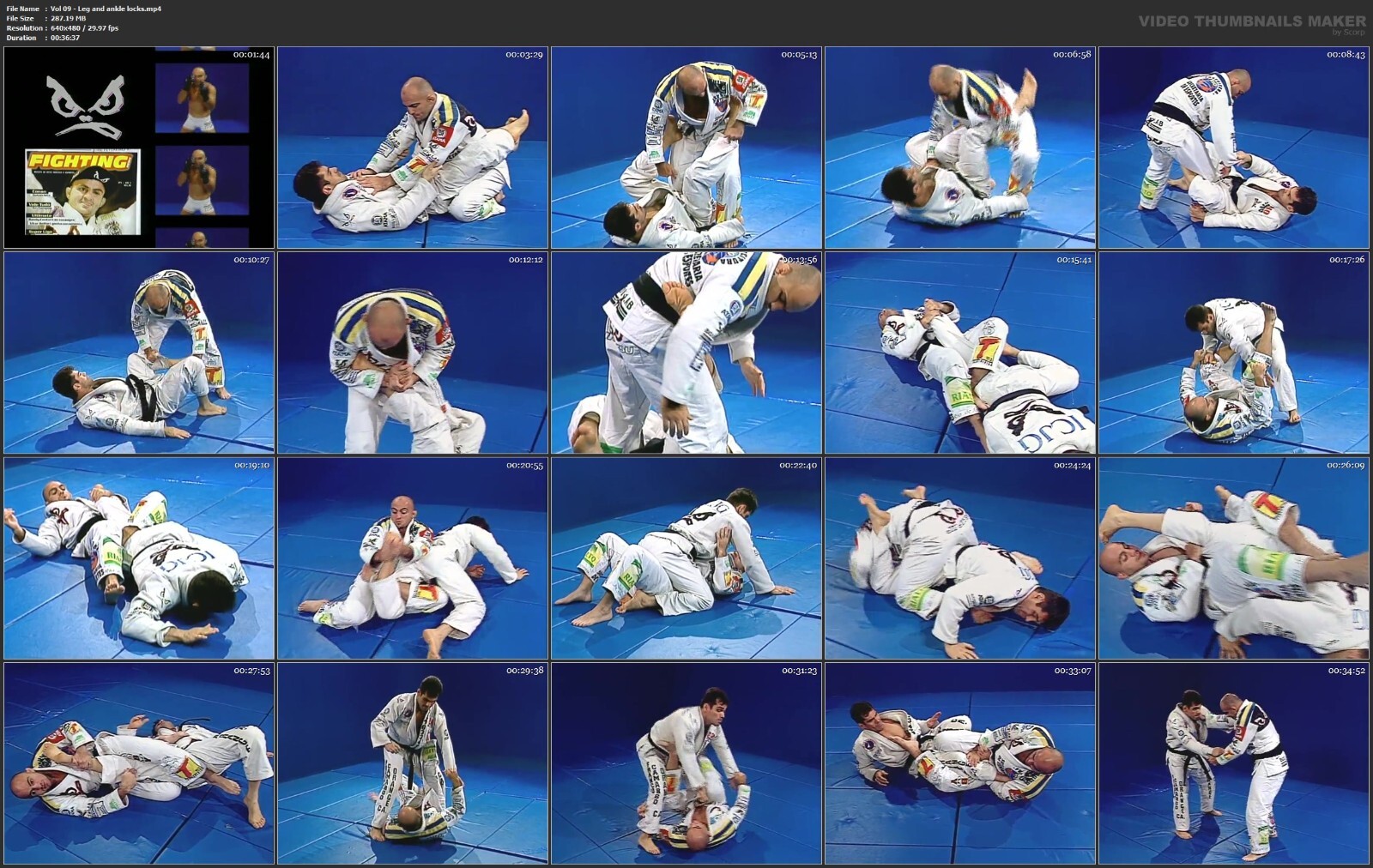 Advanced Masterclass Brazilian Jiu Jitsu starring Wallid Ismail (14 DVD Set)