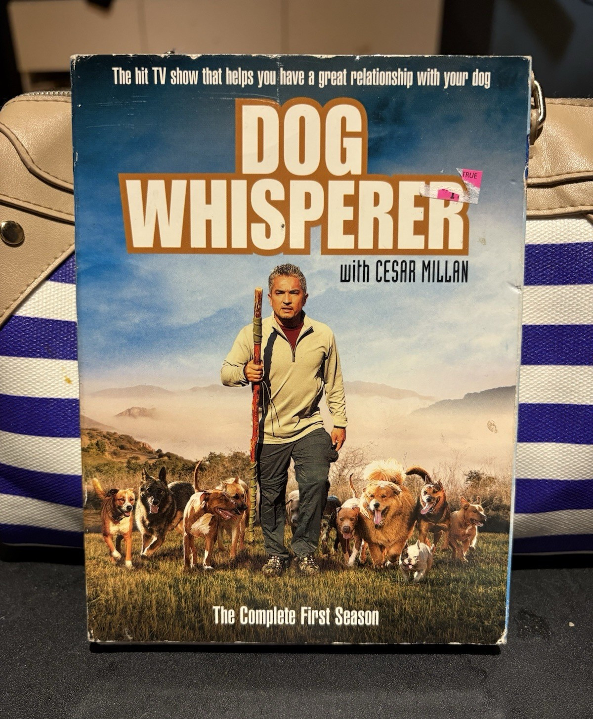 Screen Media Films Dog Whisperer Cesar Millan DVD Box Set Complete Season