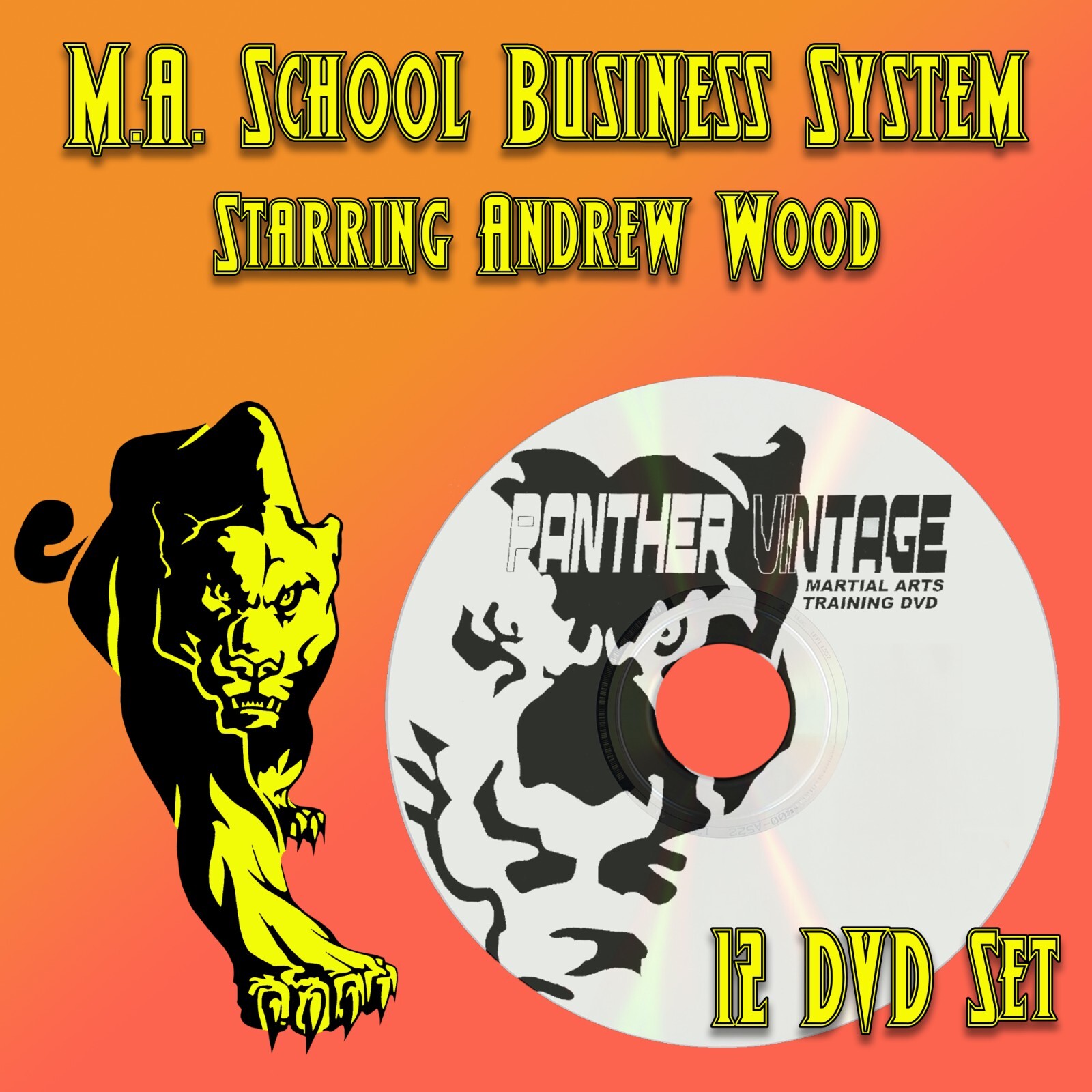 Martial Arts School Success starring Andrew Wood (12 DVD Set)