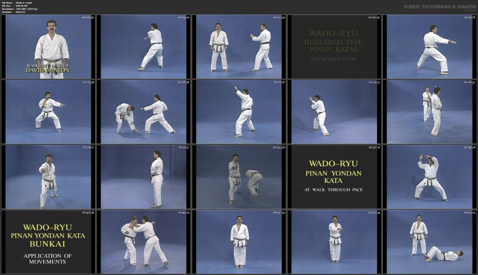Wado Ryu Karate starring David Deaton (6 DVD Set)