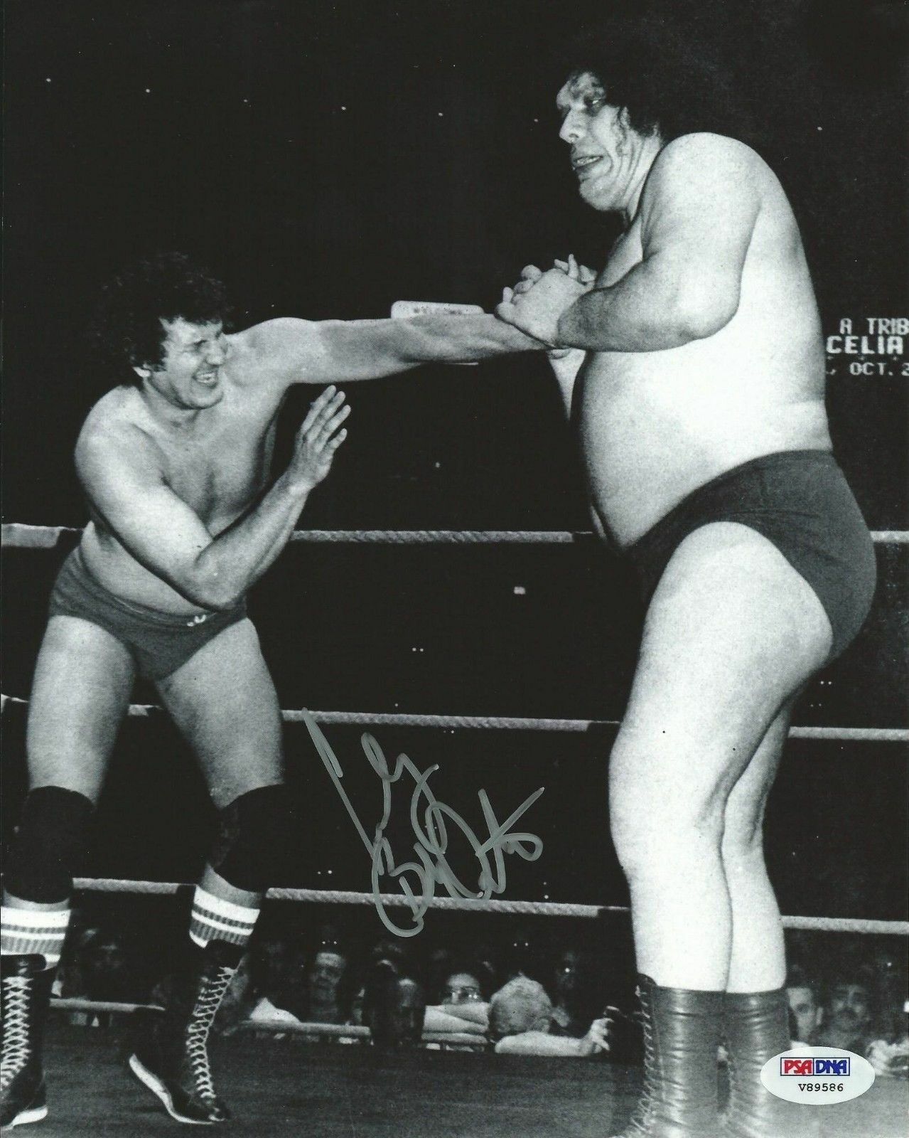 IWE (JAPAN) 1972-73 PRO WRESTLING DVD (W-979)