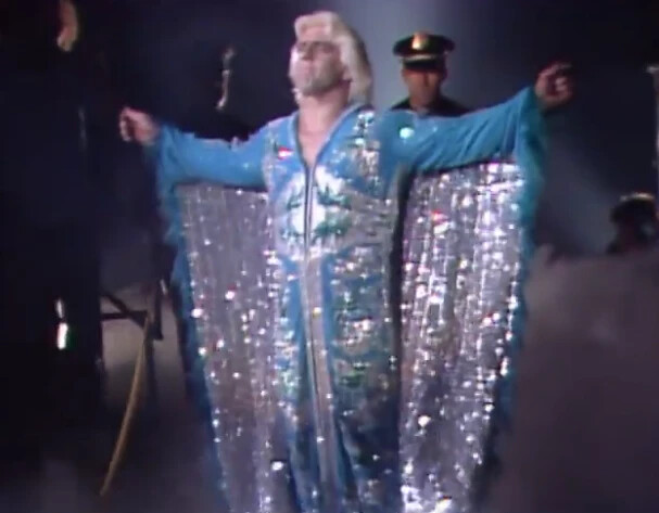 NWA STARRCADES 1983-1990 9 DVD SET *RIC FLAIR* HARLEY RACE*ROAD WARRIORS*