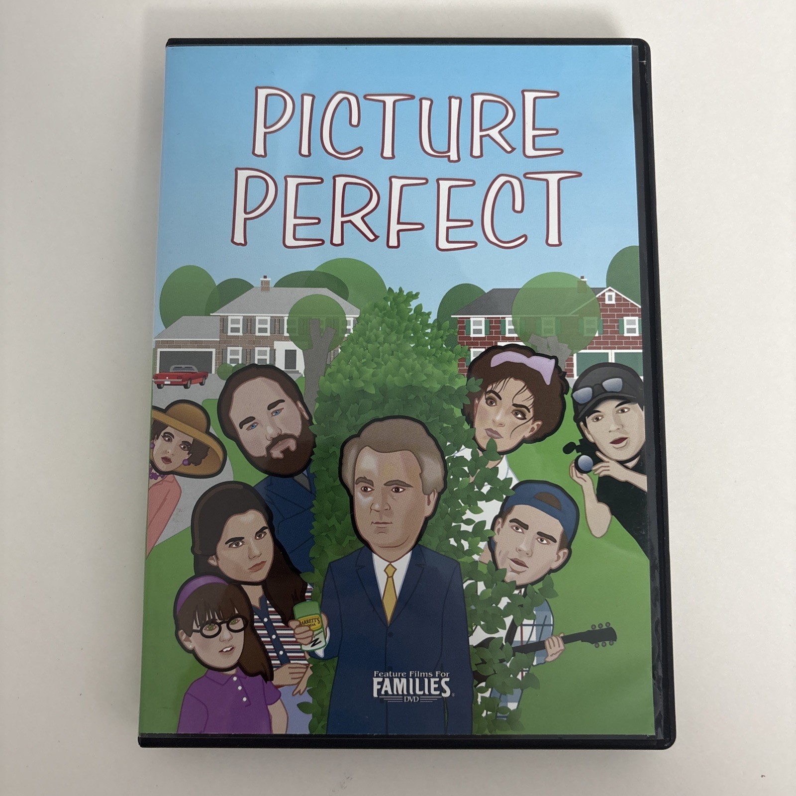 Picture Perfect (DVD, 2005) Richard Karn Dave Thomas Feature Films for Families
