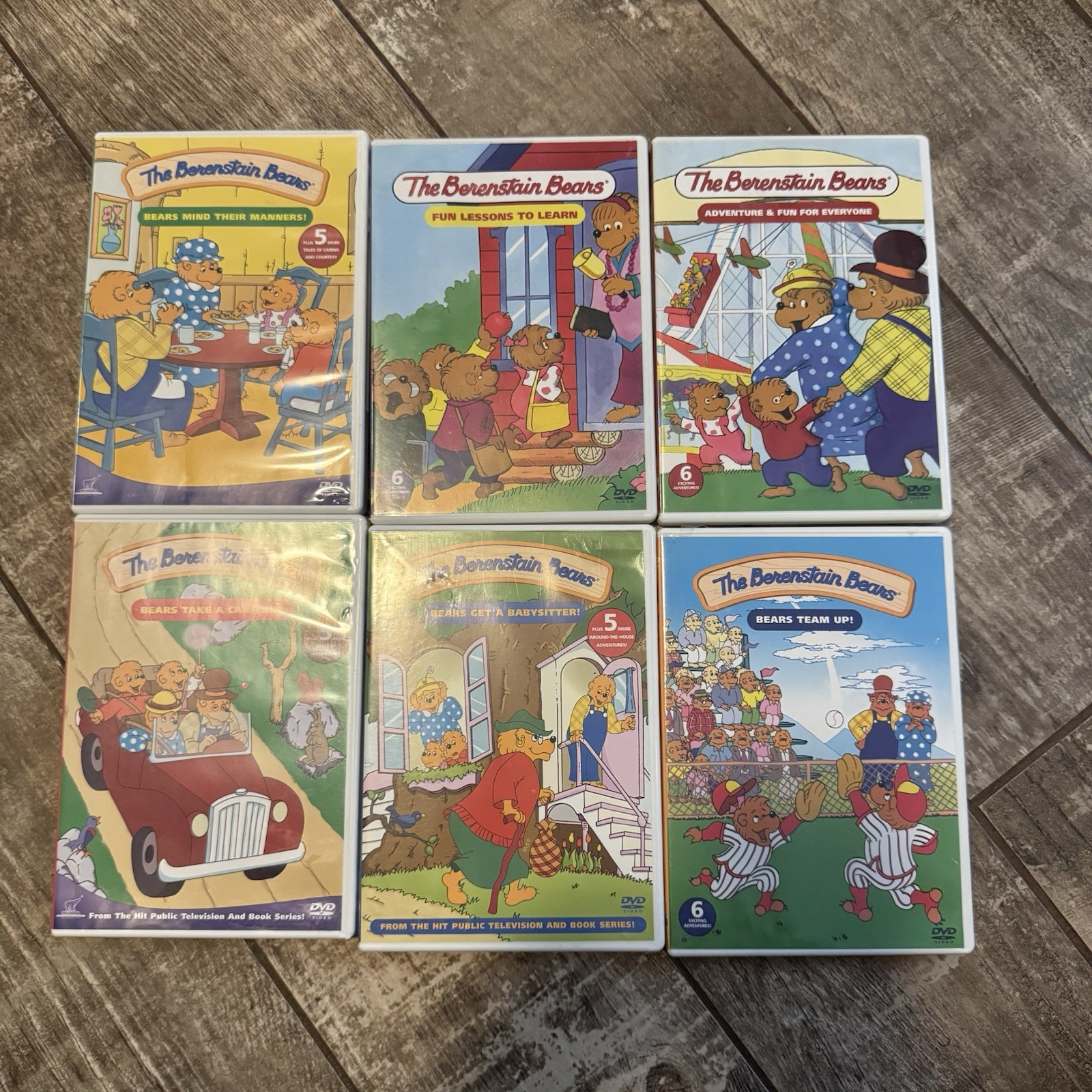 Berenstain Bears DVD Lot of 6 Kids Family Cartoon PBS Children’s Episodes