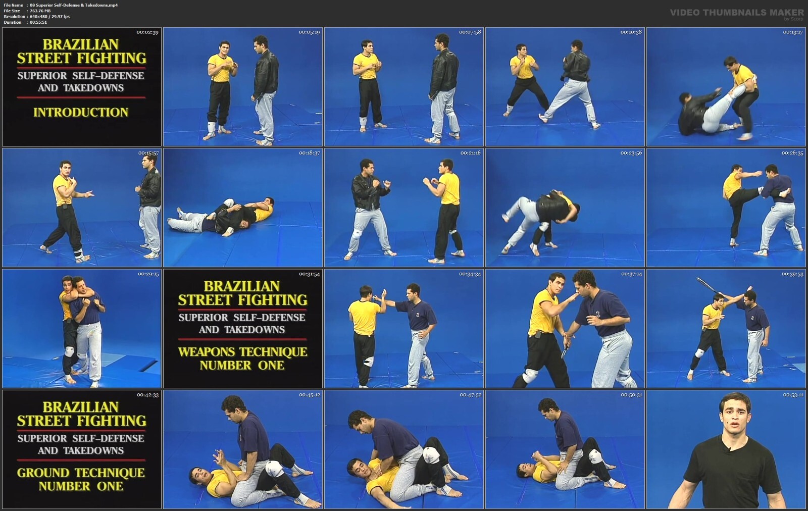 Brazilian Street Fighting Self Defense starring Kazeka Muniz (9 DVD Set)