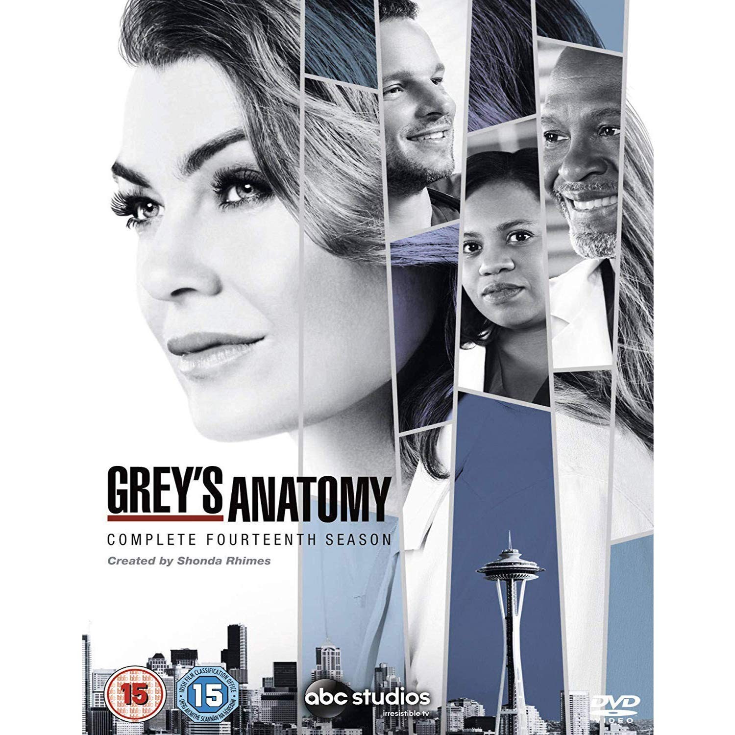 Grey’s Anatomy: Season 14 (DVD)