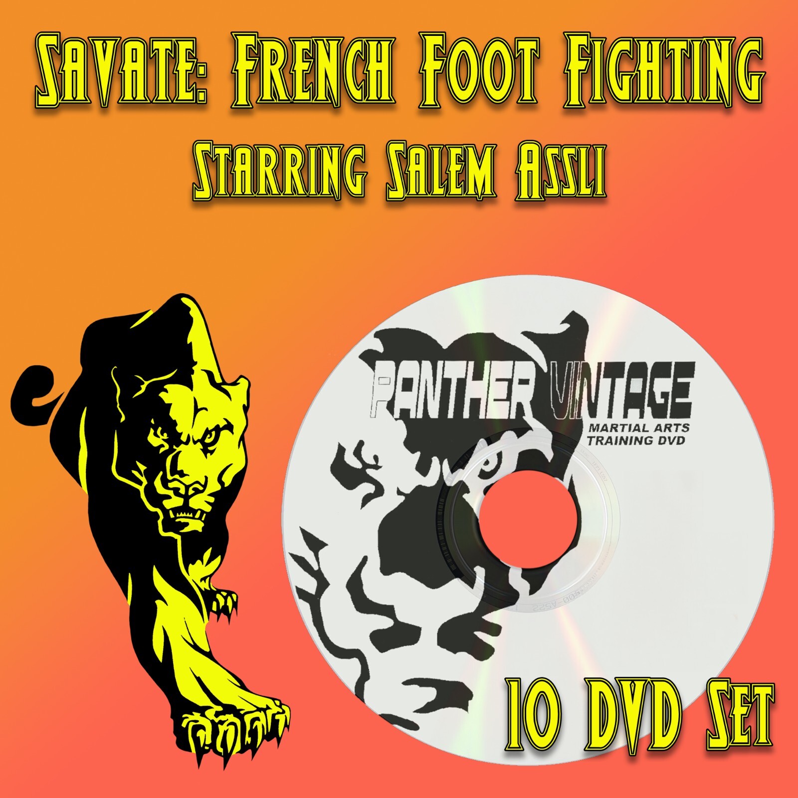 Savate: French Foot Fighting starring Professor Salem Assli (10 DVD Set)