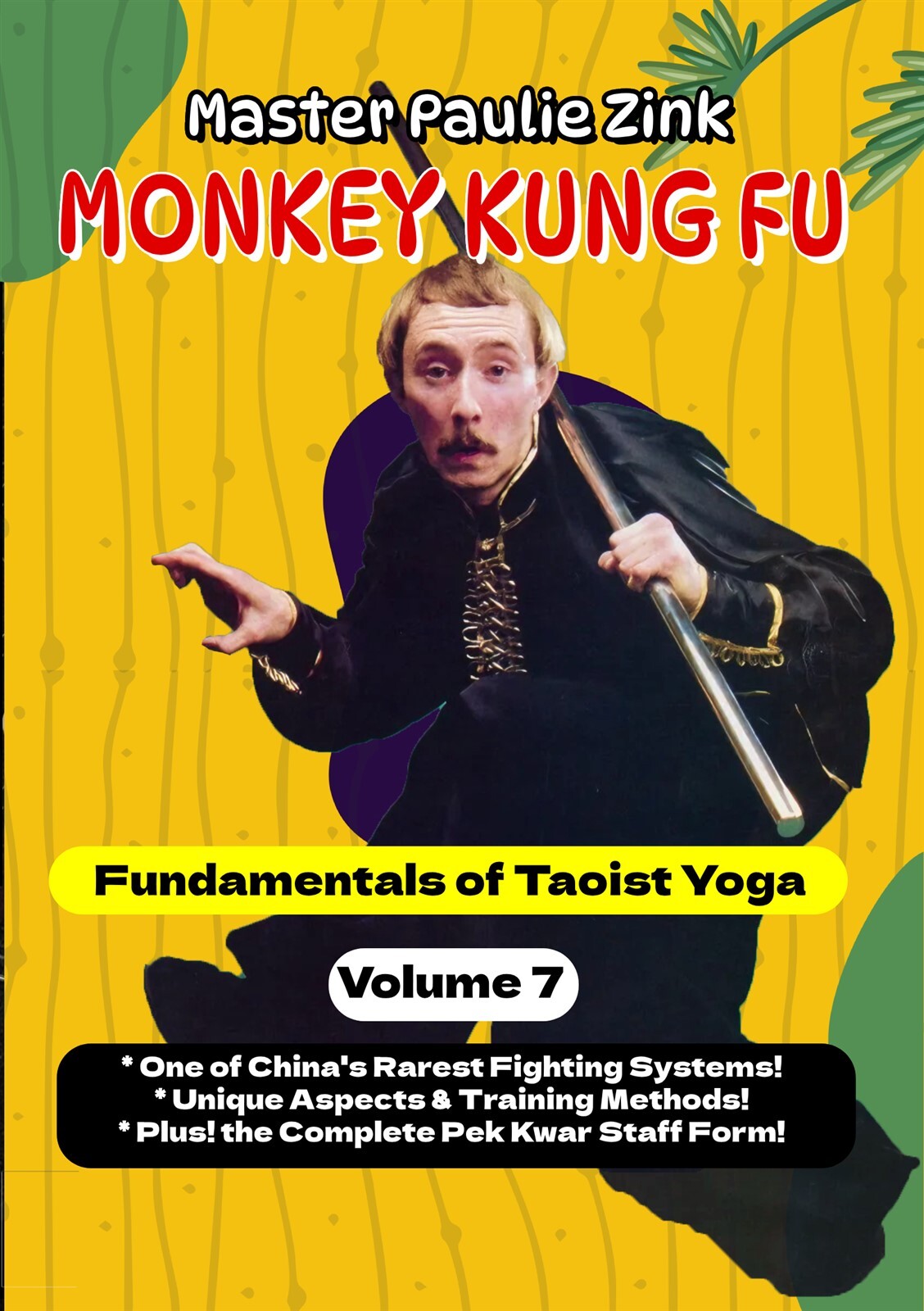 Monkey Kung Fu #7 Martial Arts: Fundamentals of Taoist Yoga DVD Paulie Zink