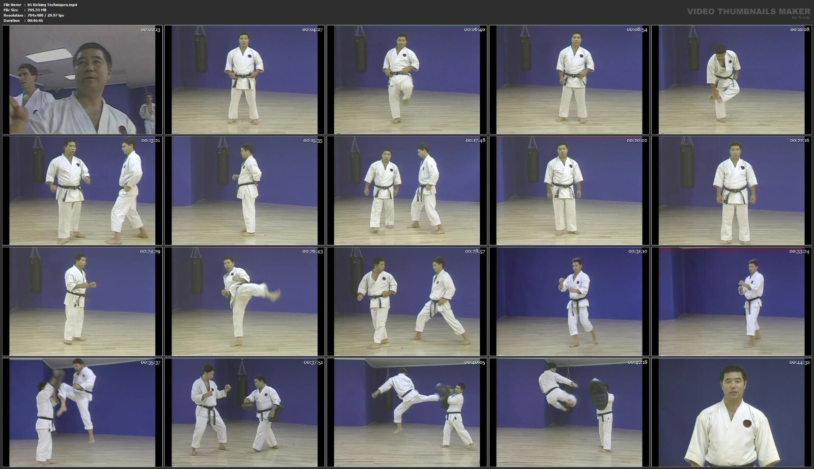 Mastering Okinawan Goju Ryu Karate starring Morio Higaonna (24 DVD Set)