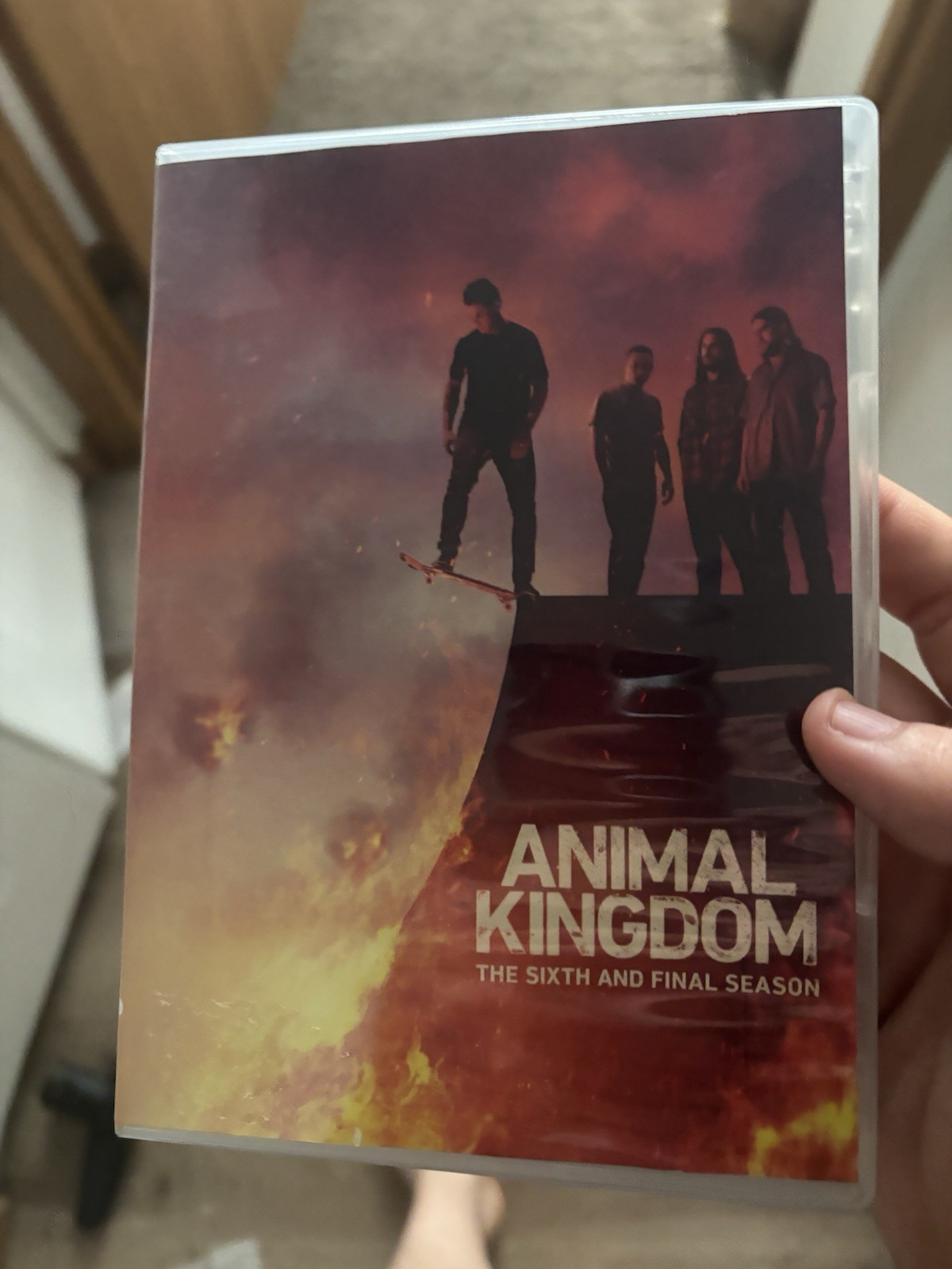 Animal Kingdom: The Sixth and Final Season [Used Very Good DVD]