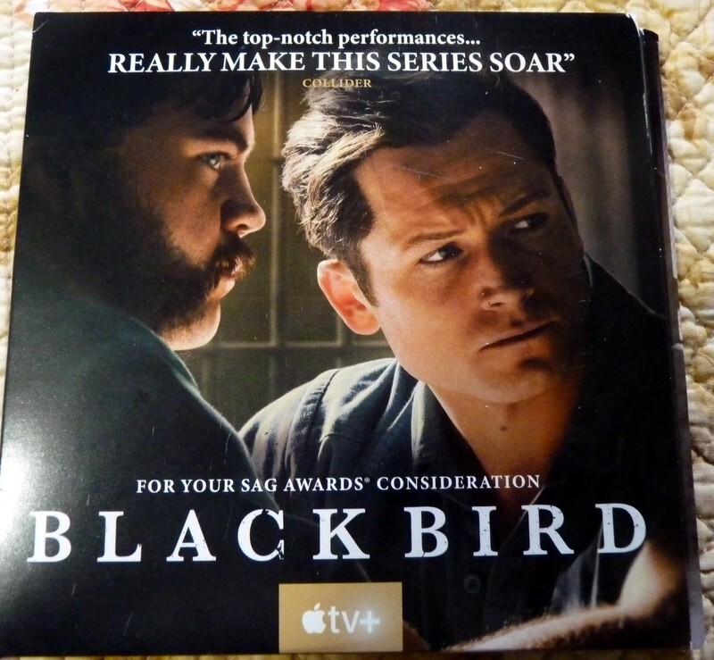 BRAND NEW Black Bird Apple TV+ 6 Episodes 3 DVDs FYC Screener Full Miniseries