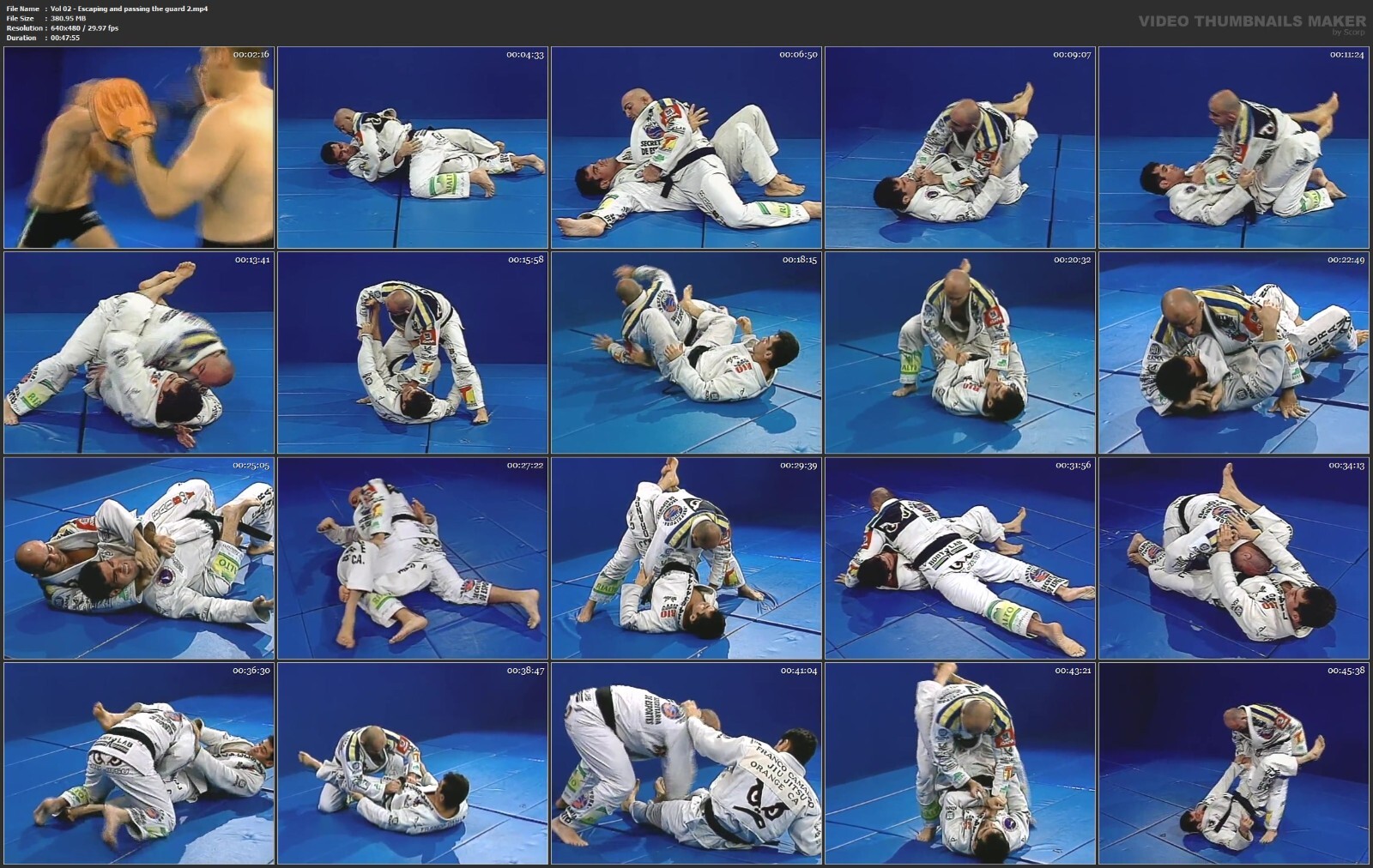 Advanced Masterclass Brazilian Jiu Jitsu starring Wallid Ismail (14 DVD Set)