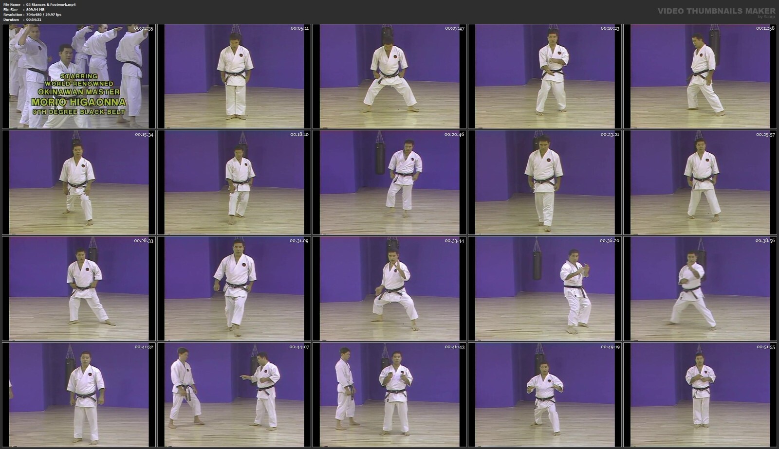 Mastering Okinawan Goju Ryu Karate starring Morio Higaonna (24 DVD Set)