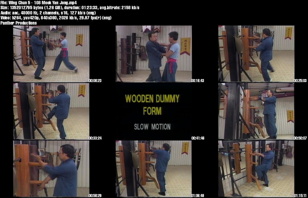 Home Study Course – Ultimate Wing Chun Mastery (DVDs + Certificates)