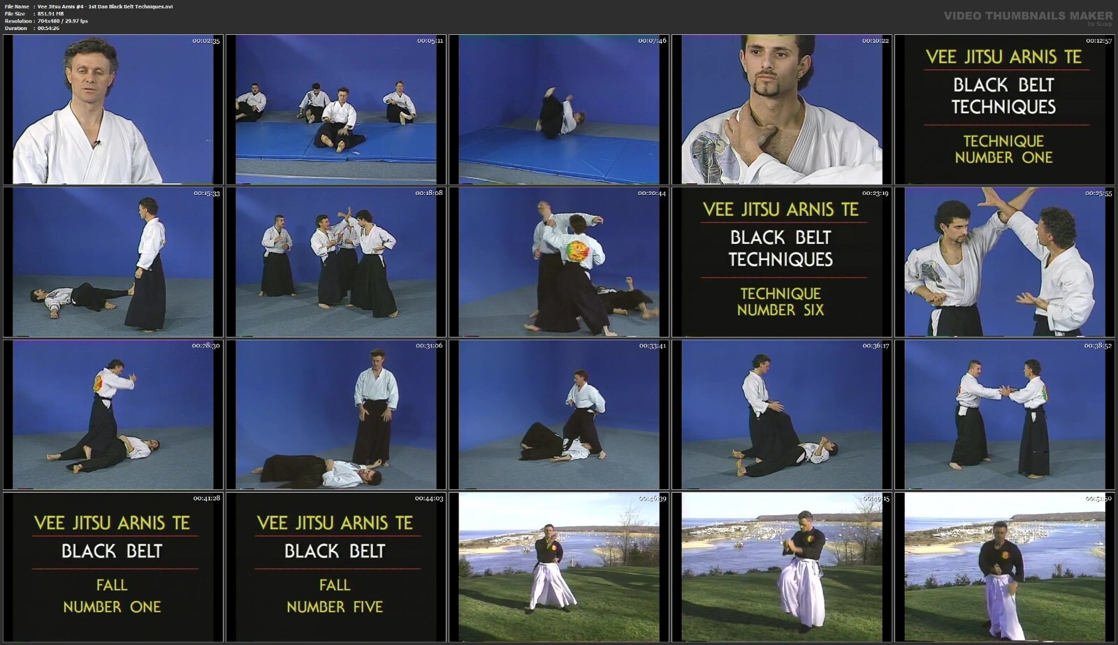 Vee Jitsu Arnis Te starring Florendo Visitacion & Frank Gallante (10 DVD Set)