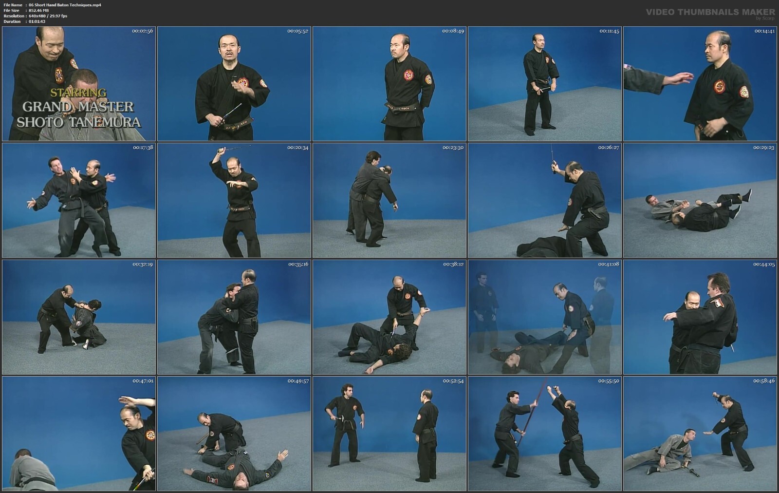 Samurai Hanbo Jutsu starring Shoto Tanemura (6 DVD Set)