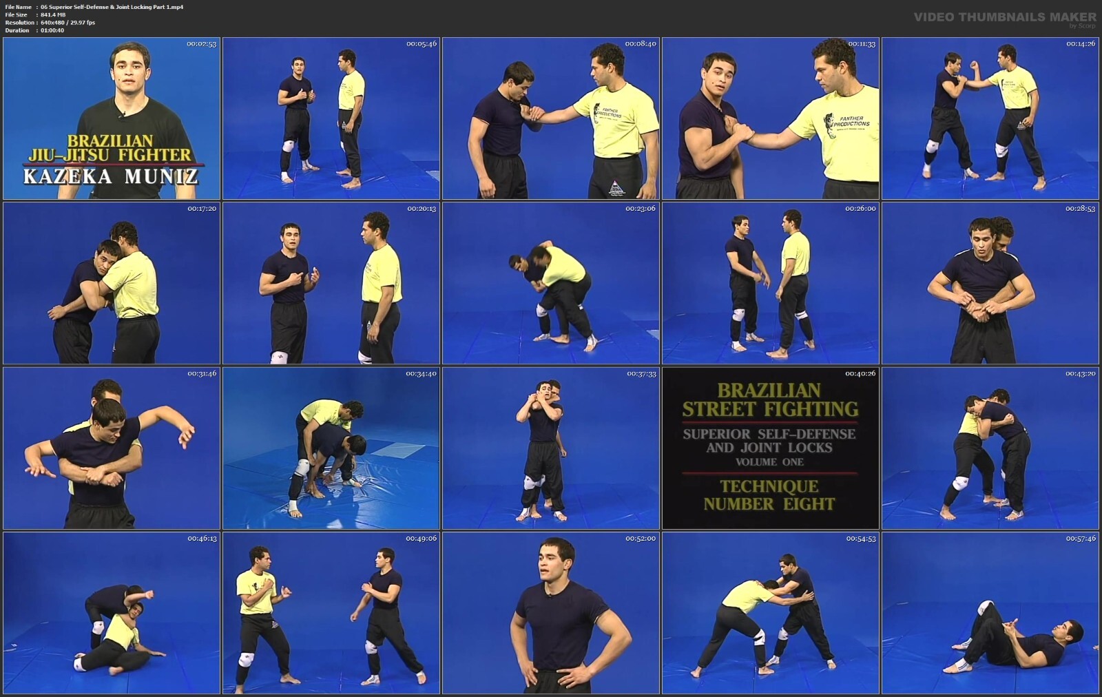 Brazilian Street Fighting Self Defense starring Kazeka Muniz (9 DVD Set)