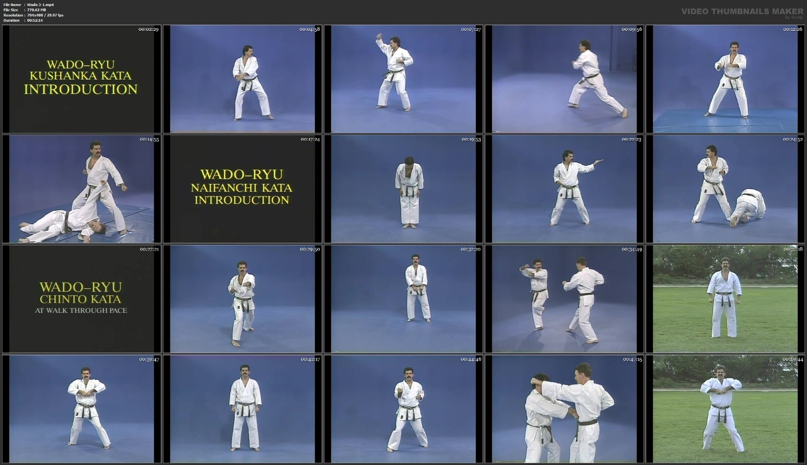 Wado Ryu Karate starring David Deaton (6 DVD Set)