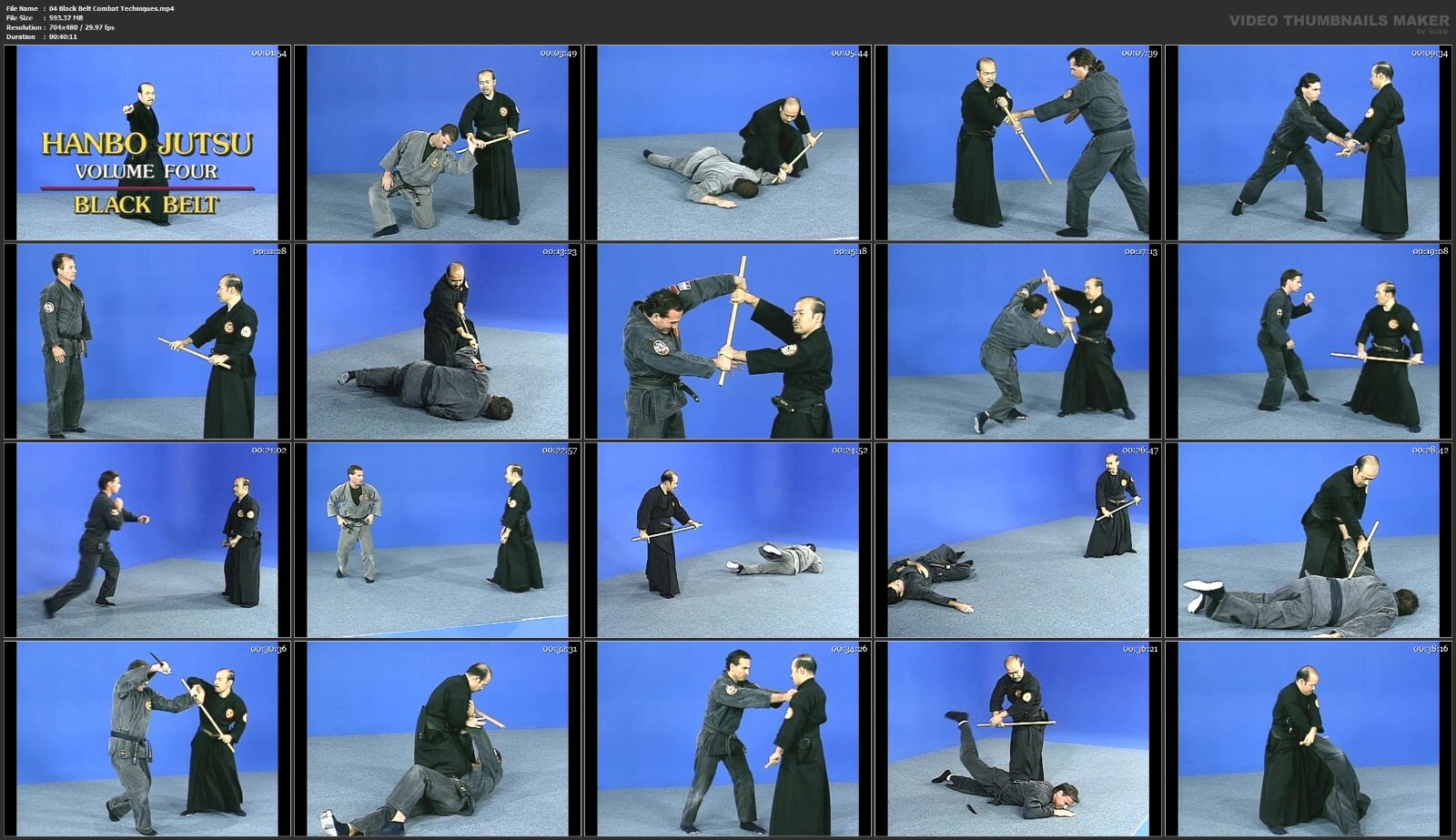 Samurai Hanbo Jutsu starring Shoto Tanemura (6 DVD Set)