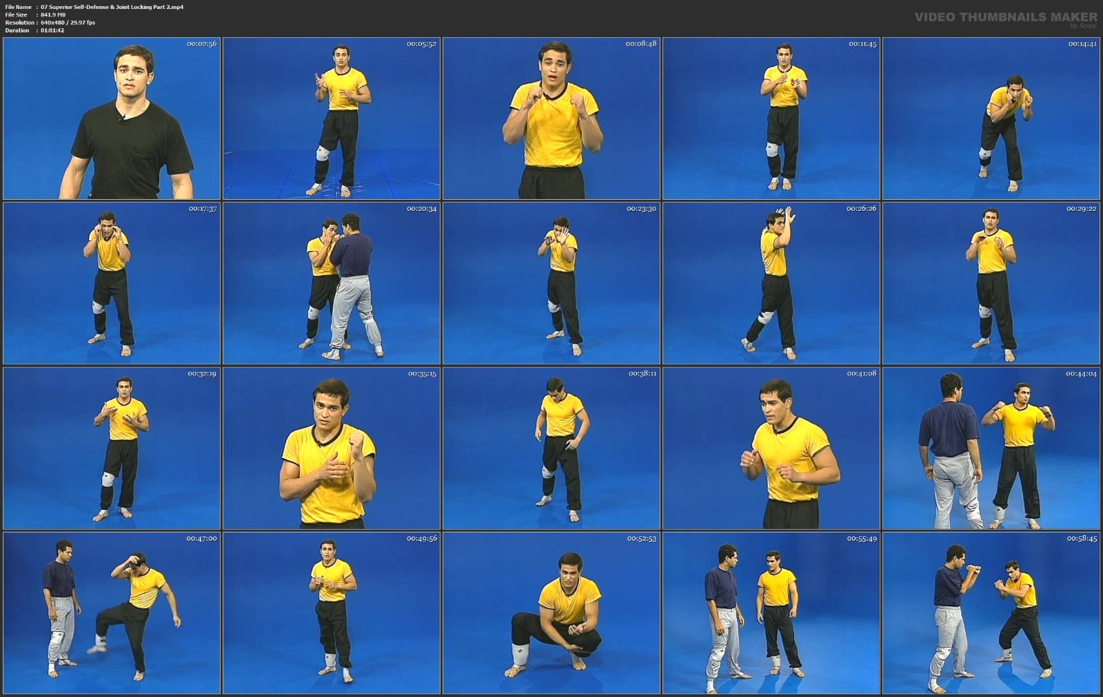 Brazilian Street Fighting Self Defense starring Kazeka Muniz (9 DVD Set)