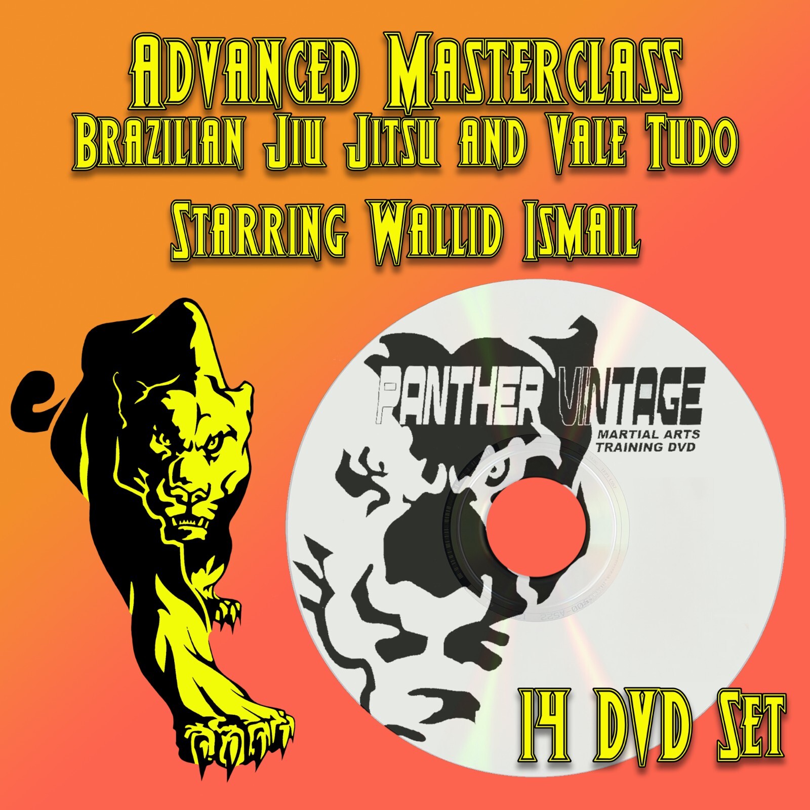 Advanced Masterclass Brazilian Jiu Jitsu starring Wallid Ismail (14 DVD Set)