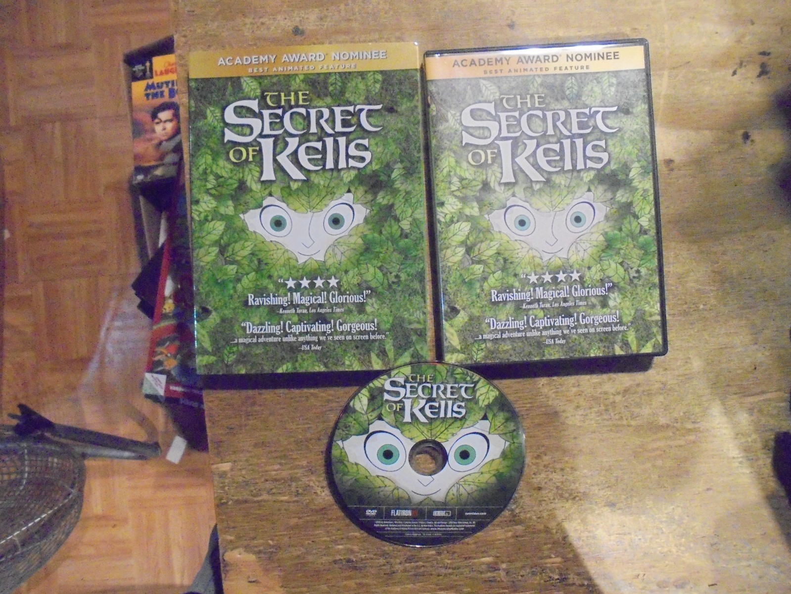 The Secret of Kells (DVD, 2008) Academy Award Nominee Animated Film Animation
