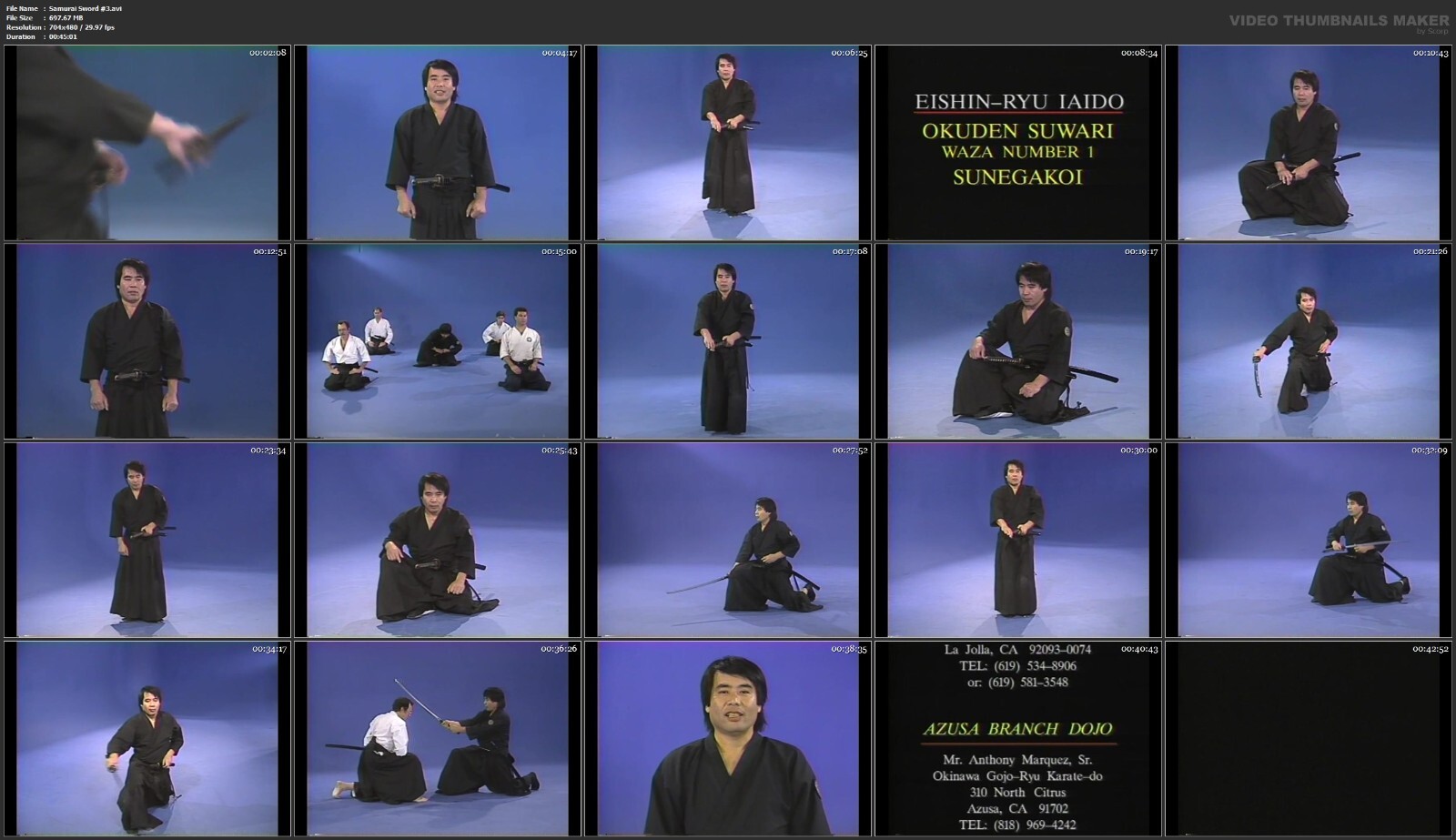 Eishin Ryu Iaido Samurai Sword starring Masayuki Shimabukuro (7 DVD Set)