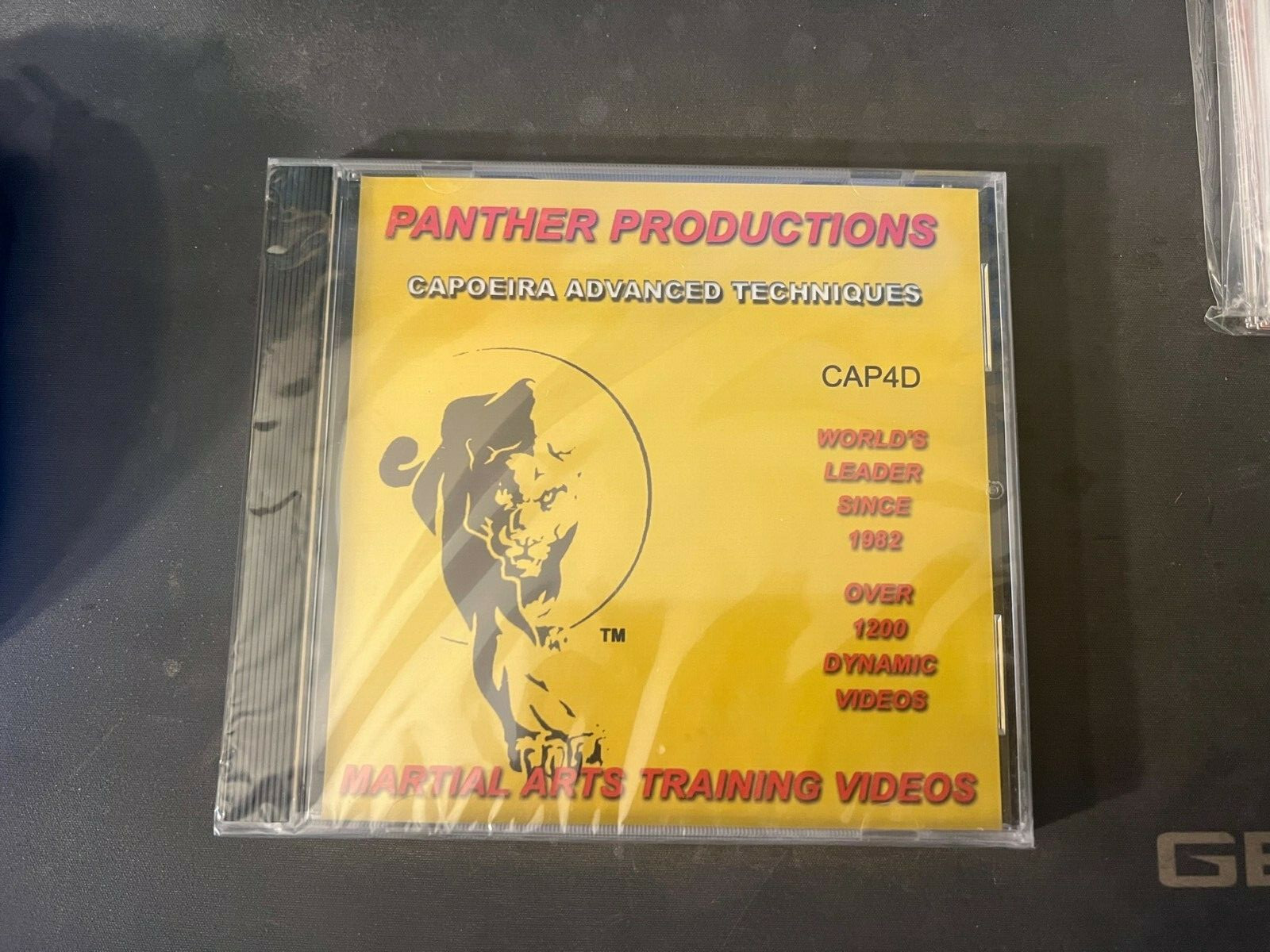 Panther Productions DVD Martial Arts Training Video Capoeira Advanced Techniques