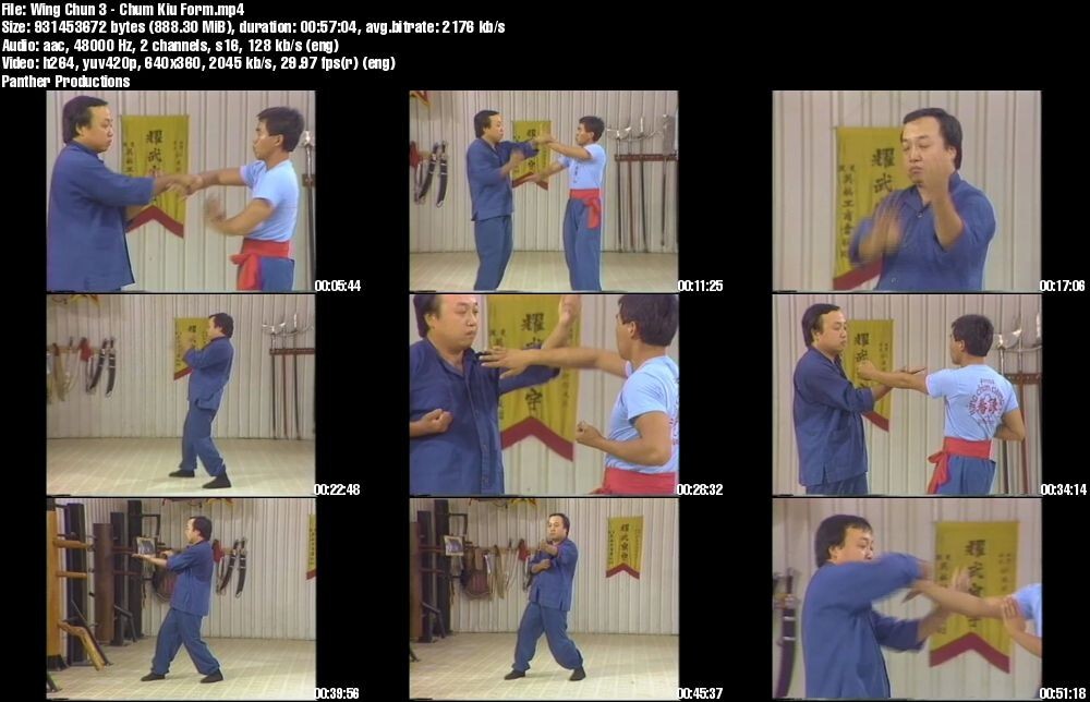 Home Study Course – Ultimate Wing Chun Mastery (DVDs + Certificates)