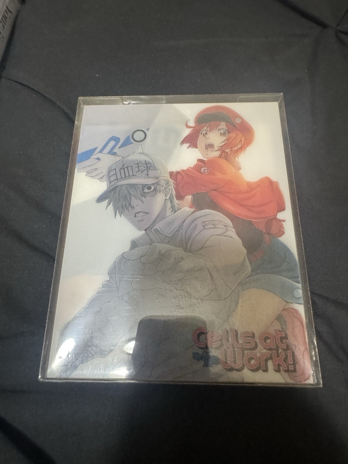 Cells at Work! Complete Set (season 1) Blu-ray Aniplex Brand New