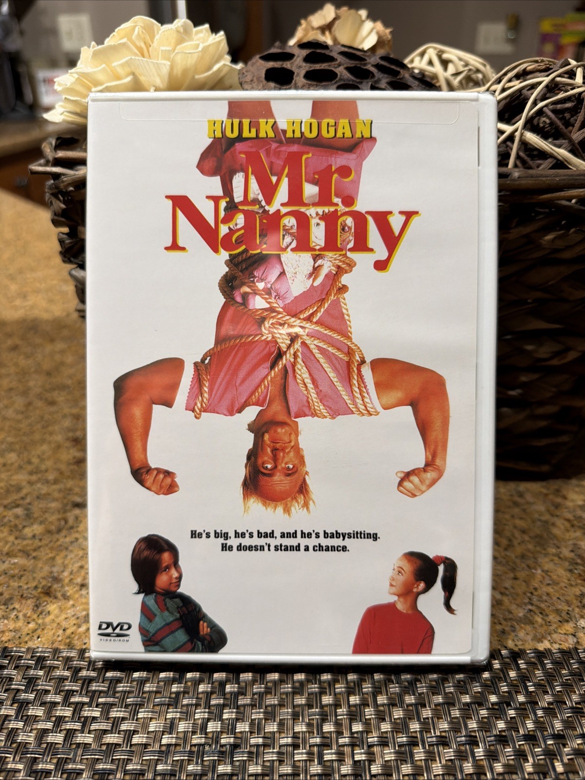 Mr. Nanny (DVD, 1993)