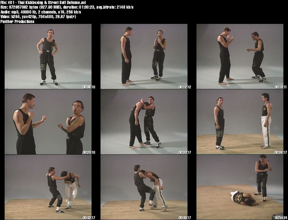 Thai Kickboxing for Self-Defense starring Gerard Finot (2 DVD Set)