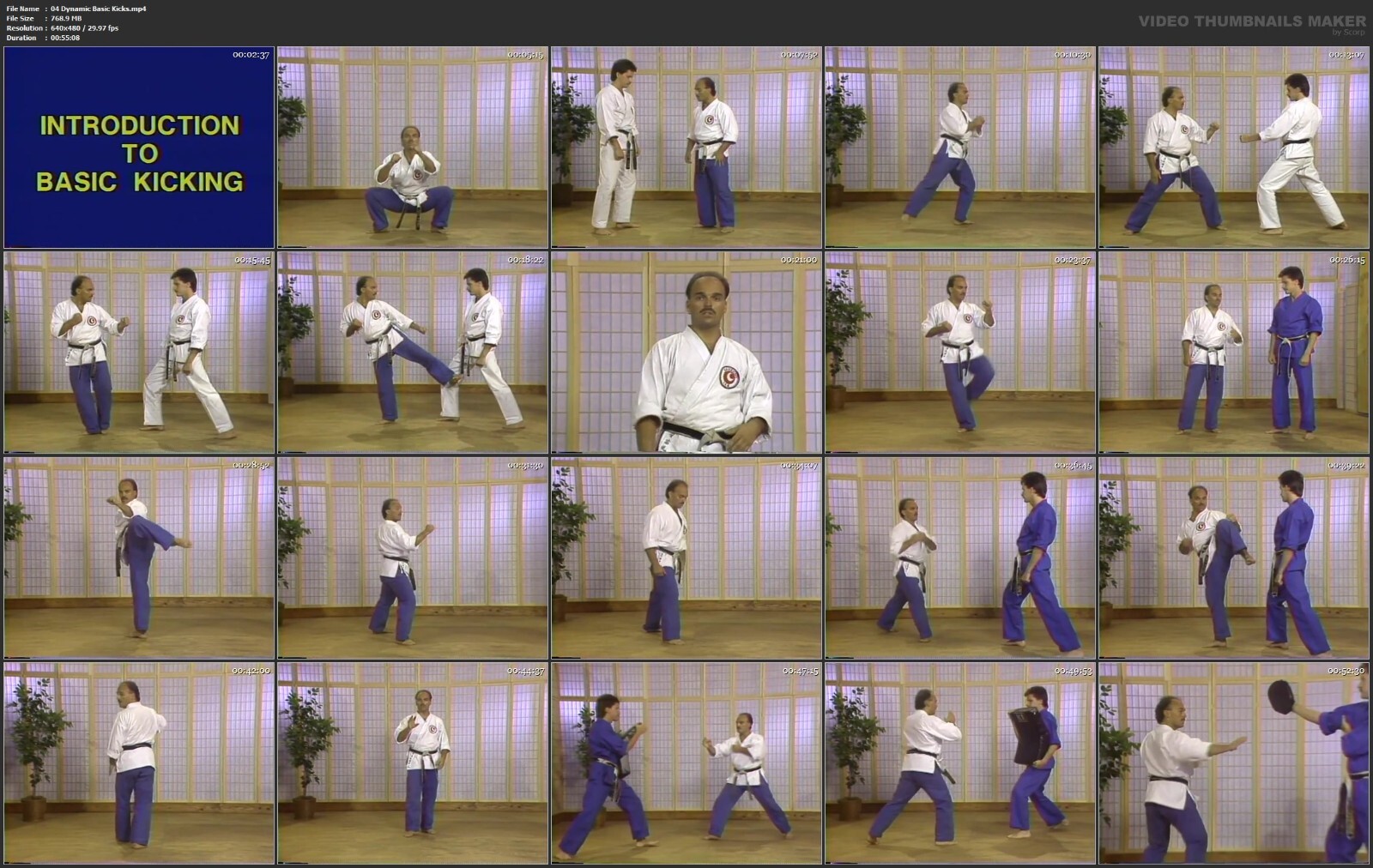 Ultimate Karate Training starring Jean Frenette (9 DVD Set)