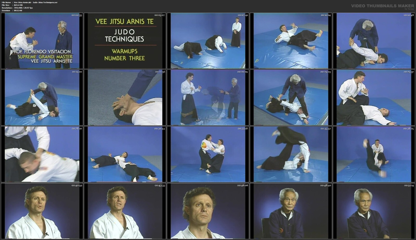 Vee Jitsu Arnis Te starring Florendo Visitacion & Frank Gallante (10 DVD Set)
