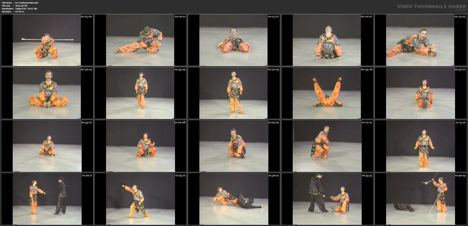 Monkey Kung Fu starring Paulie Zink (8 DVD Set)