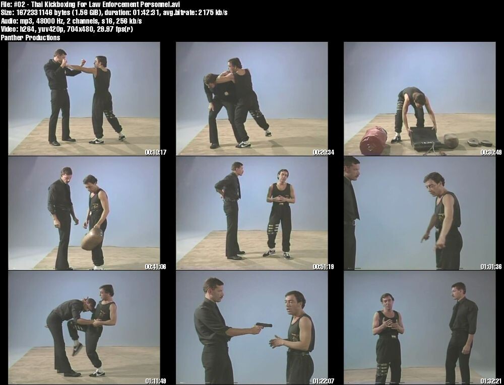 Thai Kickboxing for Self-Defense starring Gerard Finot (2 DVD Set)