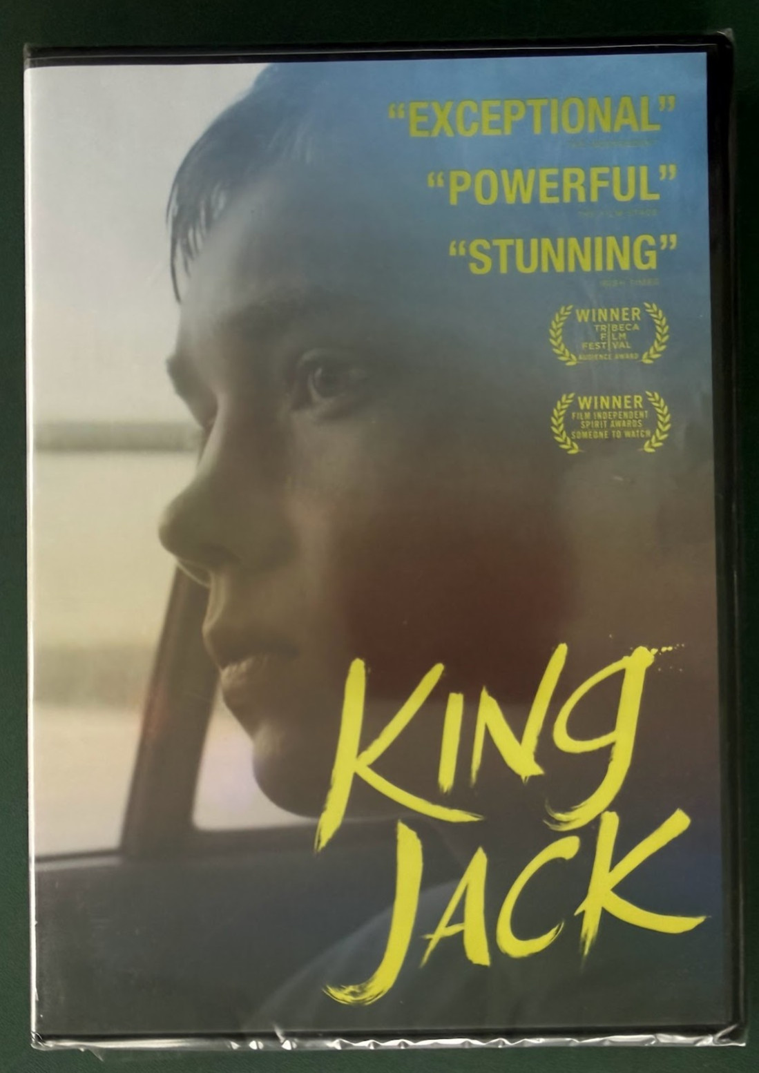 King Jack (DVD) 2015 Charlie Plummer, coming of age, FACTORY SEALED, Ohio seller