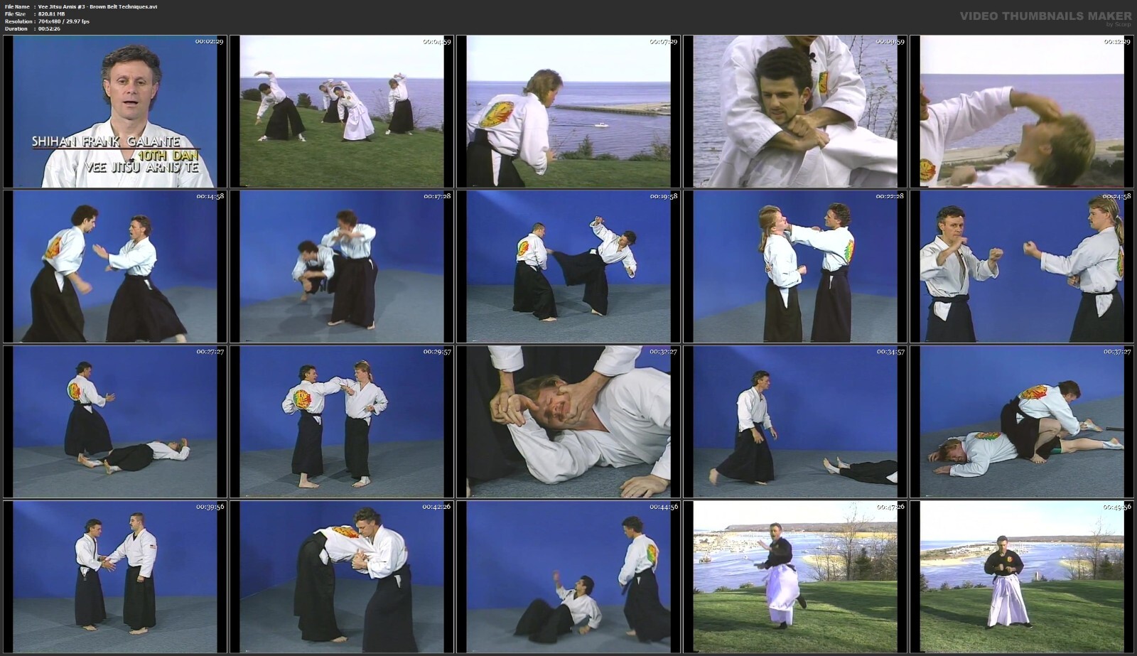 Vee Jitsu Arnis Te starring Florendo Visitacion & Frank Gallante (10 DVD Set)