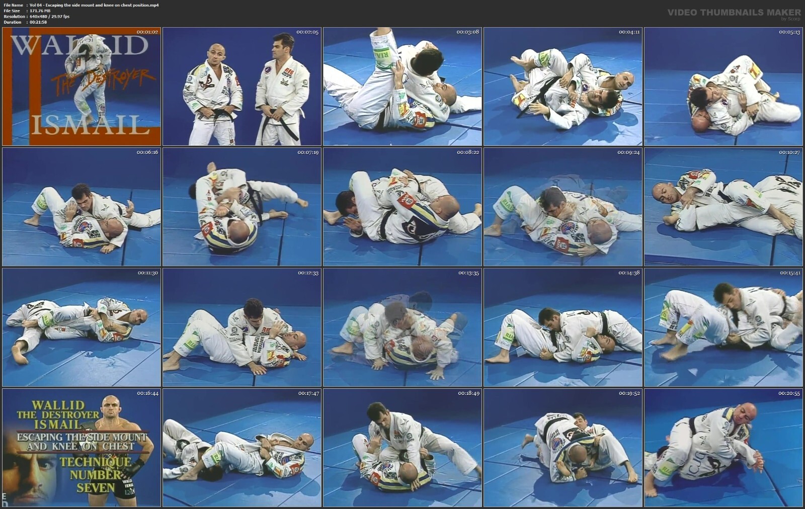 Advanced Masterclass Brazilian Jiu Jitsu starring Wallid Ismail (14 DVD Set)