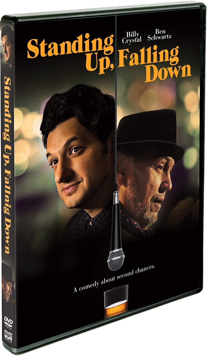 Standing Up, Falling Down [DVD]