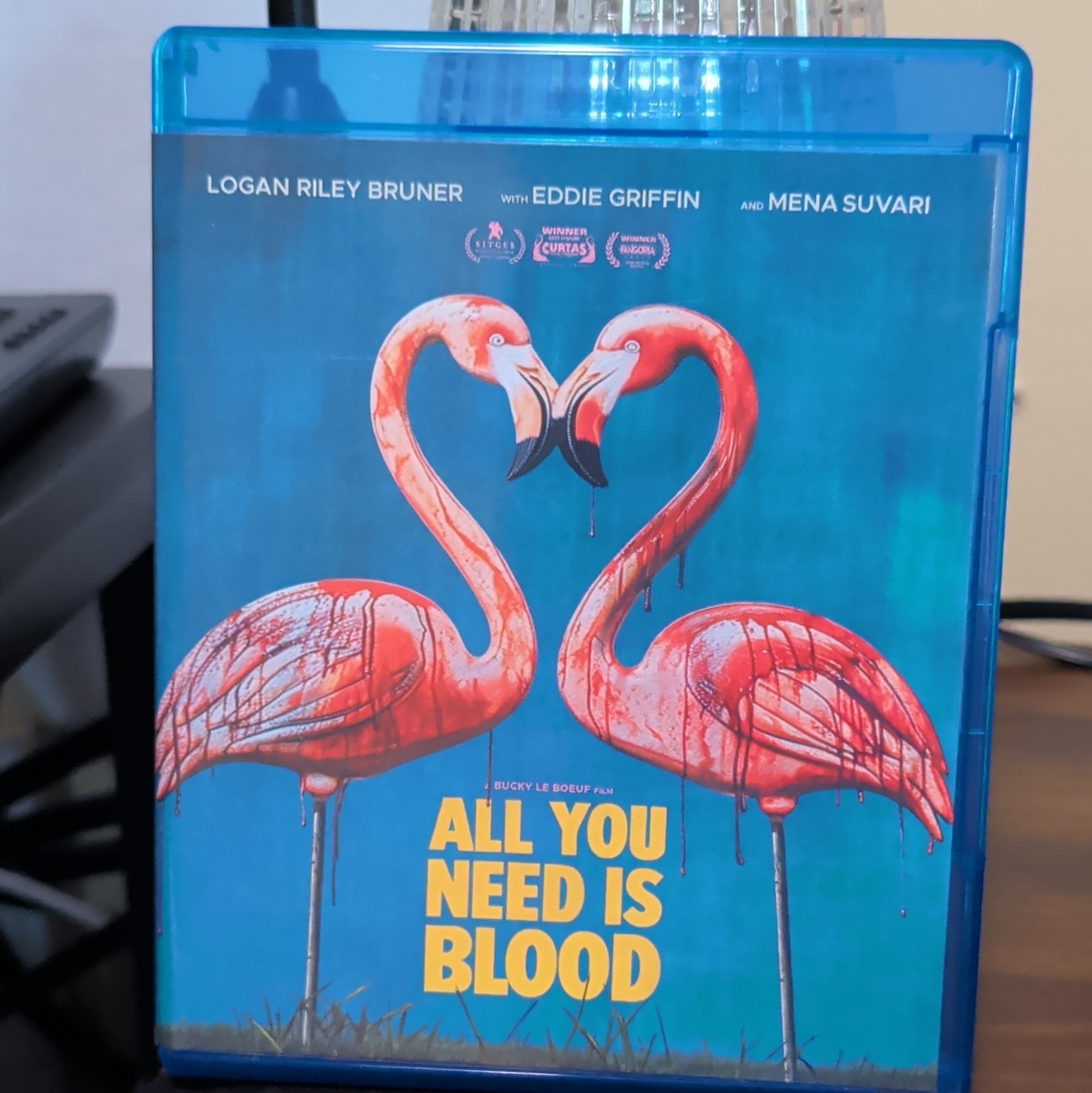 All You Need Is Blood Blu-ray 2024 Zombie Horror/Comedy NR 101 min Le Boeuf