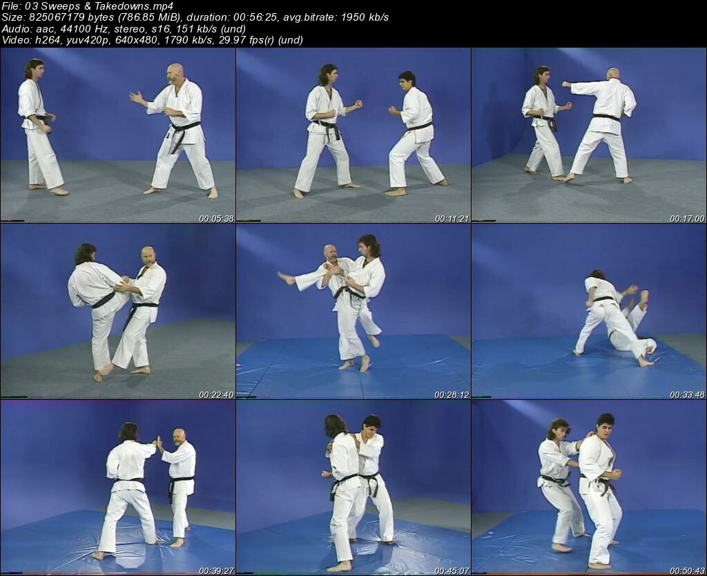 JIYU Kumite Sparring starring Paul Godshaw (5 DVD Set)