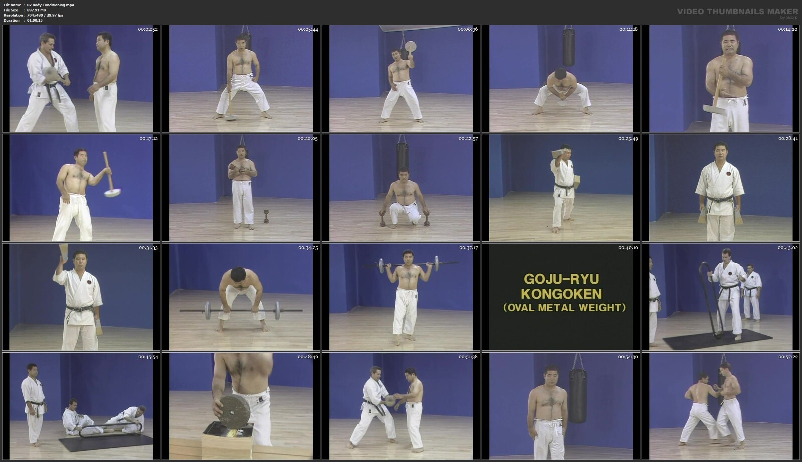 Mastering Okinawan Goju Ryu Karate starring Morio Higaonna (24 DVD Set)