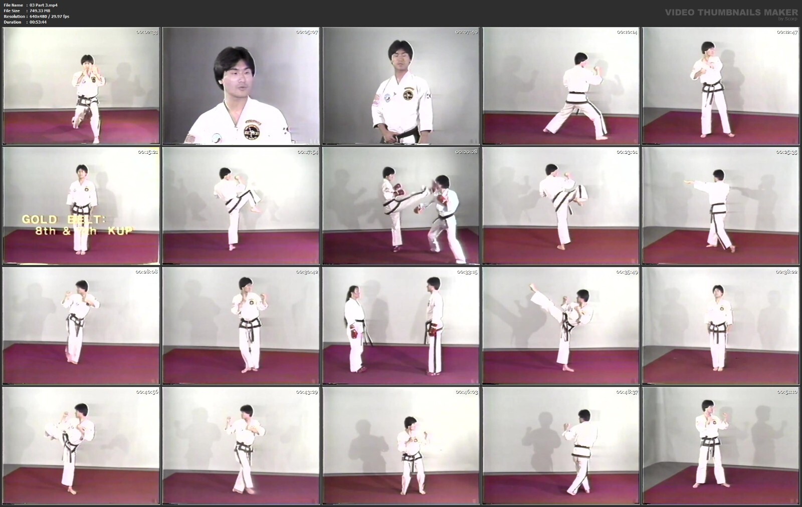 Winning Tae Kwon Do Forms starring John Chung (3 DVD Set)