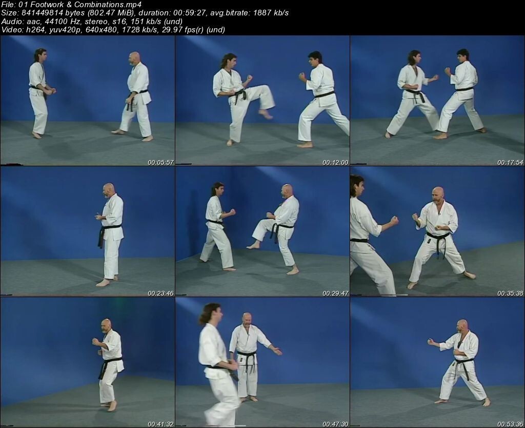 JIYU Kumite Sparring starring Paul Godshaw (5 DVD Set)