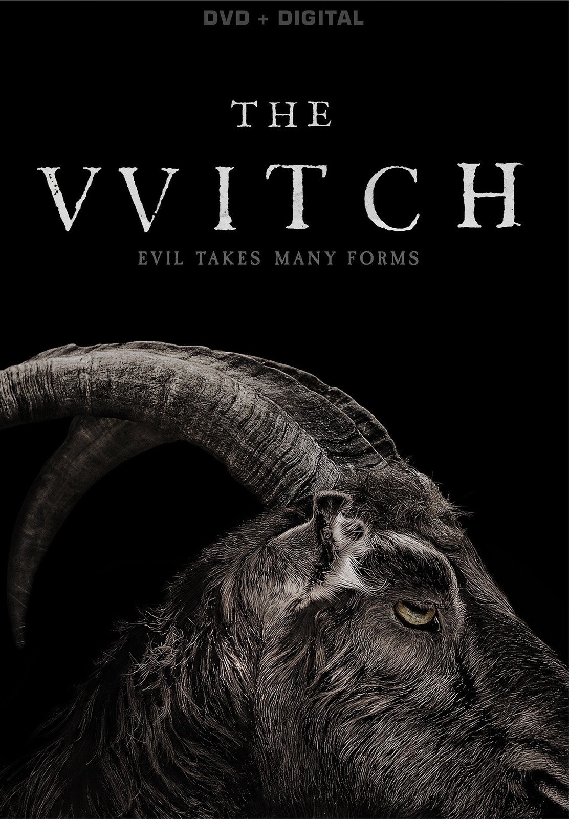 The Witch (2016) (DVD) NEW
