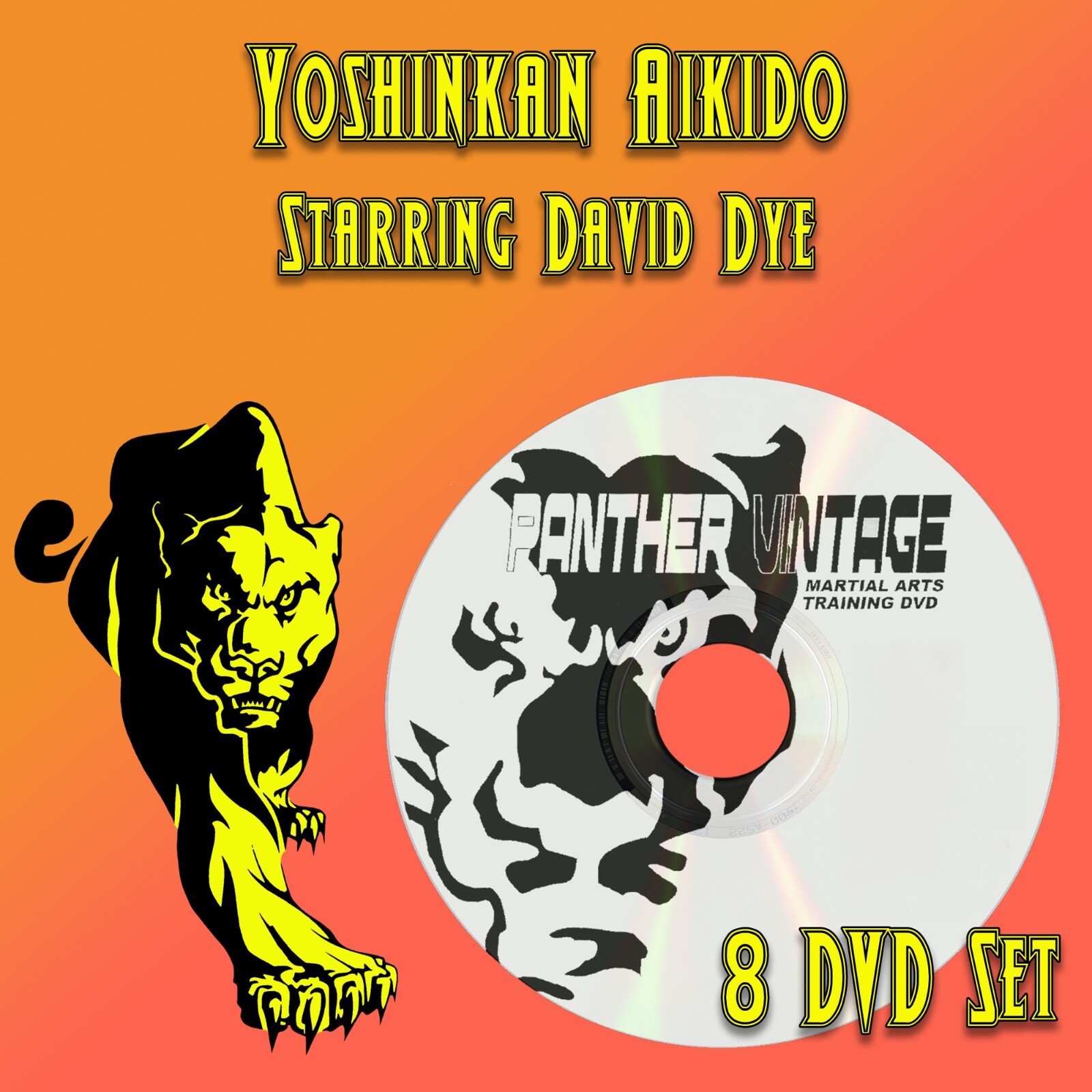 Police Aikido: Control & Restraining Techniques starring David Dye (8 DVD Set)