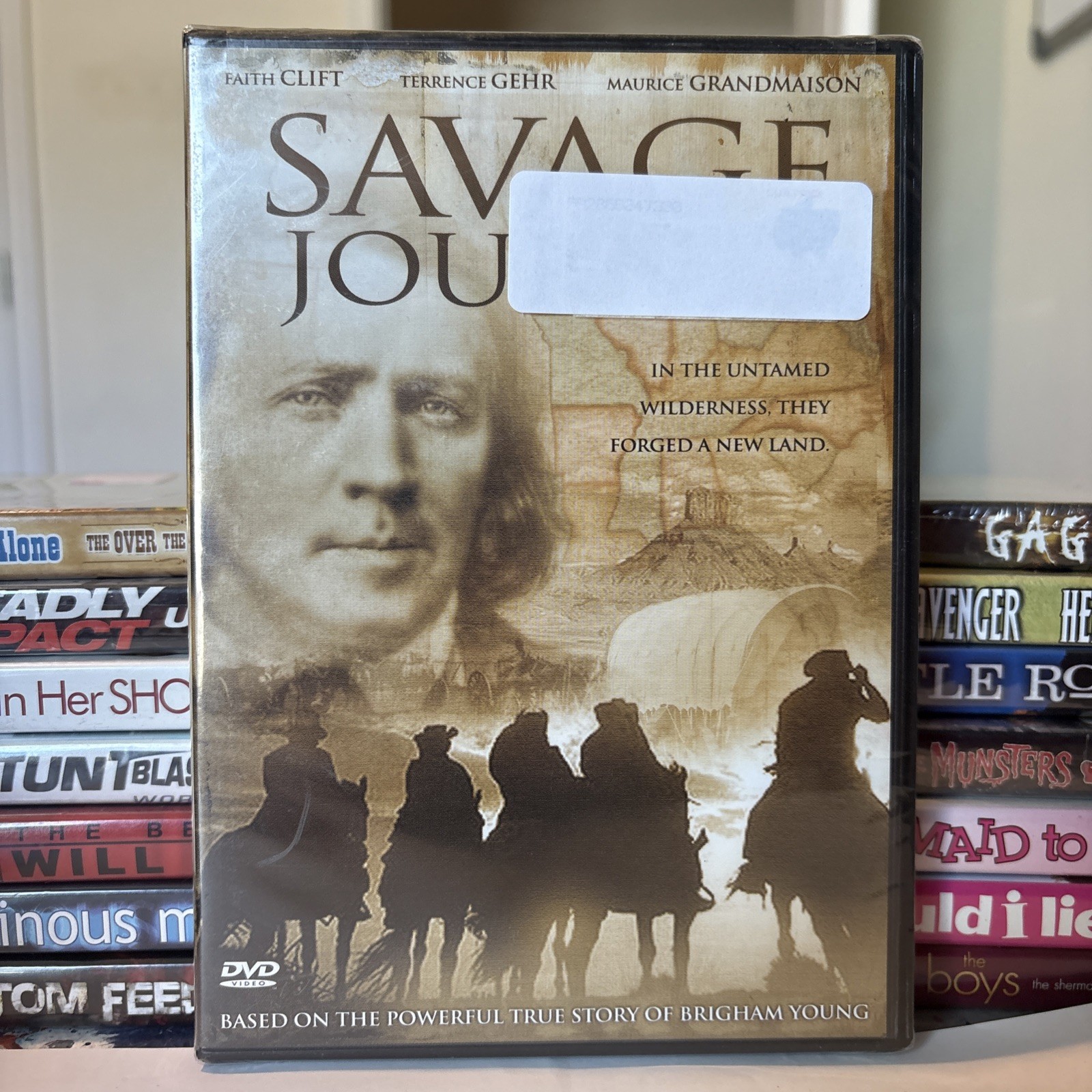 Savage Journey (DVD 2006 95 Min Rated PG) Faith Cleft Brand New – C