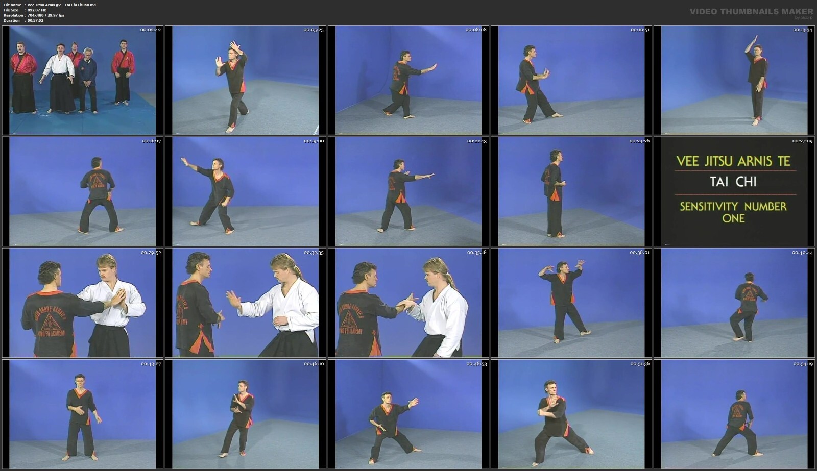 Vee Jitsu Arnis Te starring Florendo Visitacion & Frank Gallante (10 DVD Set)